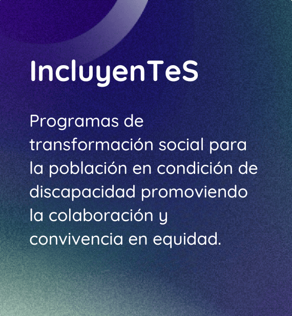 IncluyenTeS, Programas de tranformación social para la población en condición de discapacidad promoviendo la colaboración y convivencia en equidad.